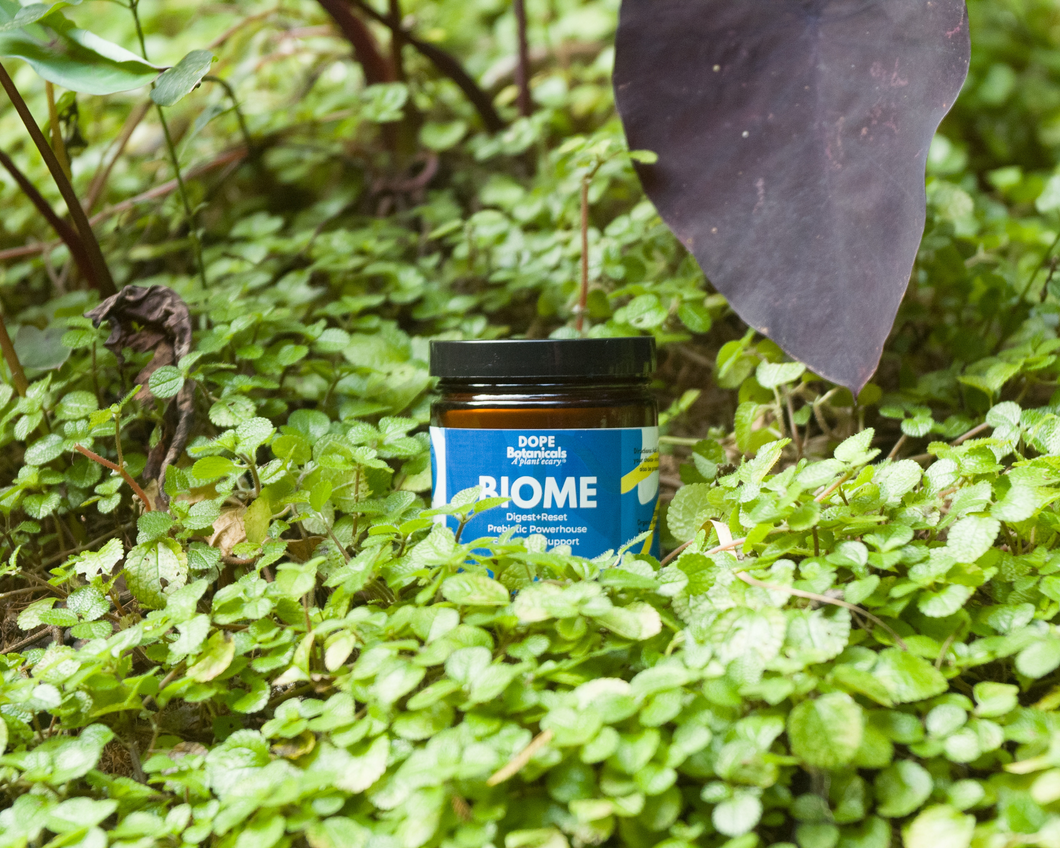 BIOME