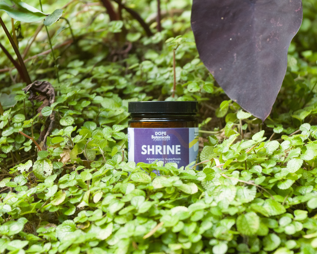 SHRINE